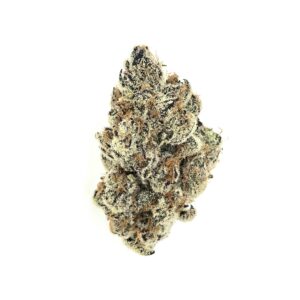 Tropicana Cherry Strain