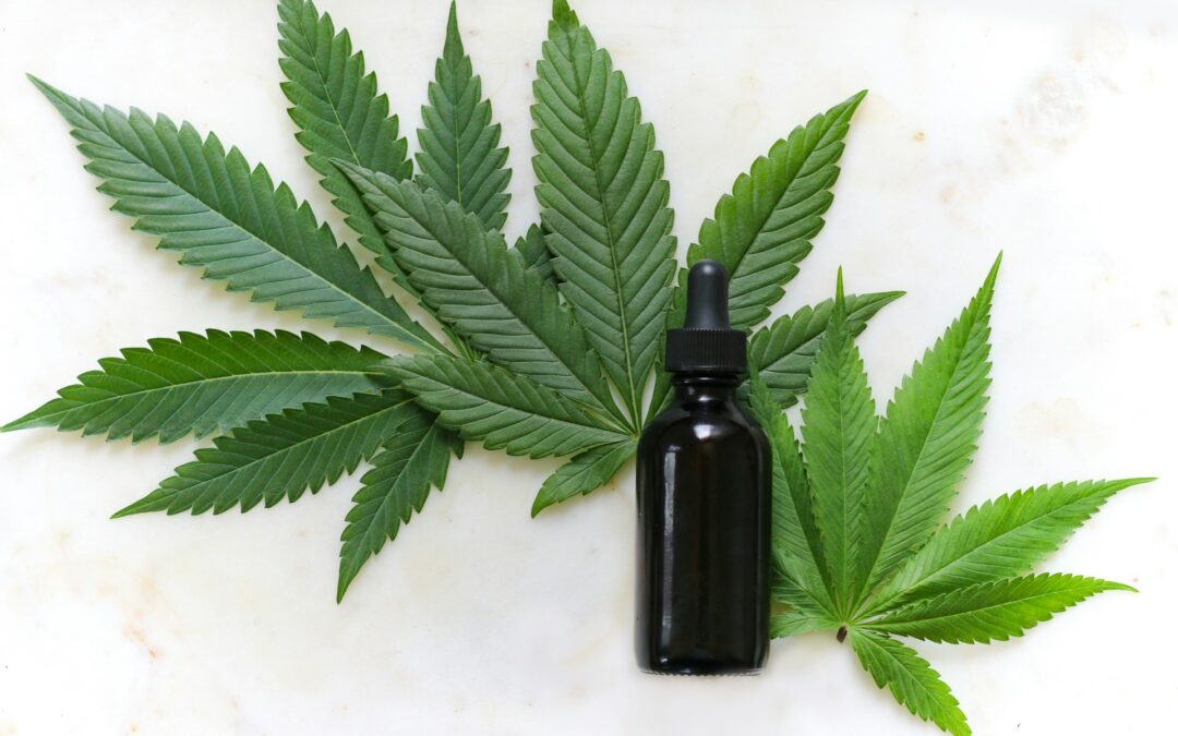 CBD vs THC: Exploring Effects, Uses, and Benefits